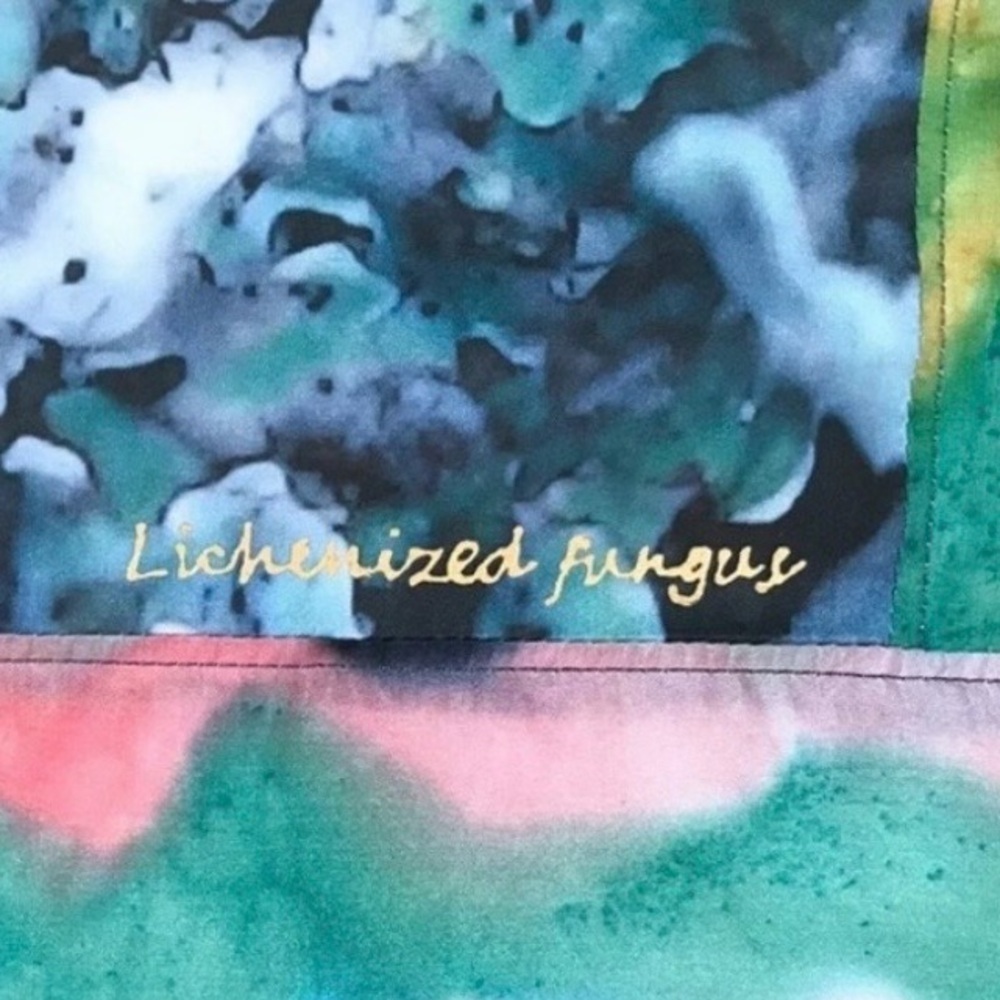 Lichenized Fungus Wall Hanging Ellen Frenkel Silk Art Painting Biology Science - Picture 2 of 4